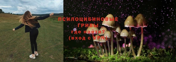 мескалин Балахна